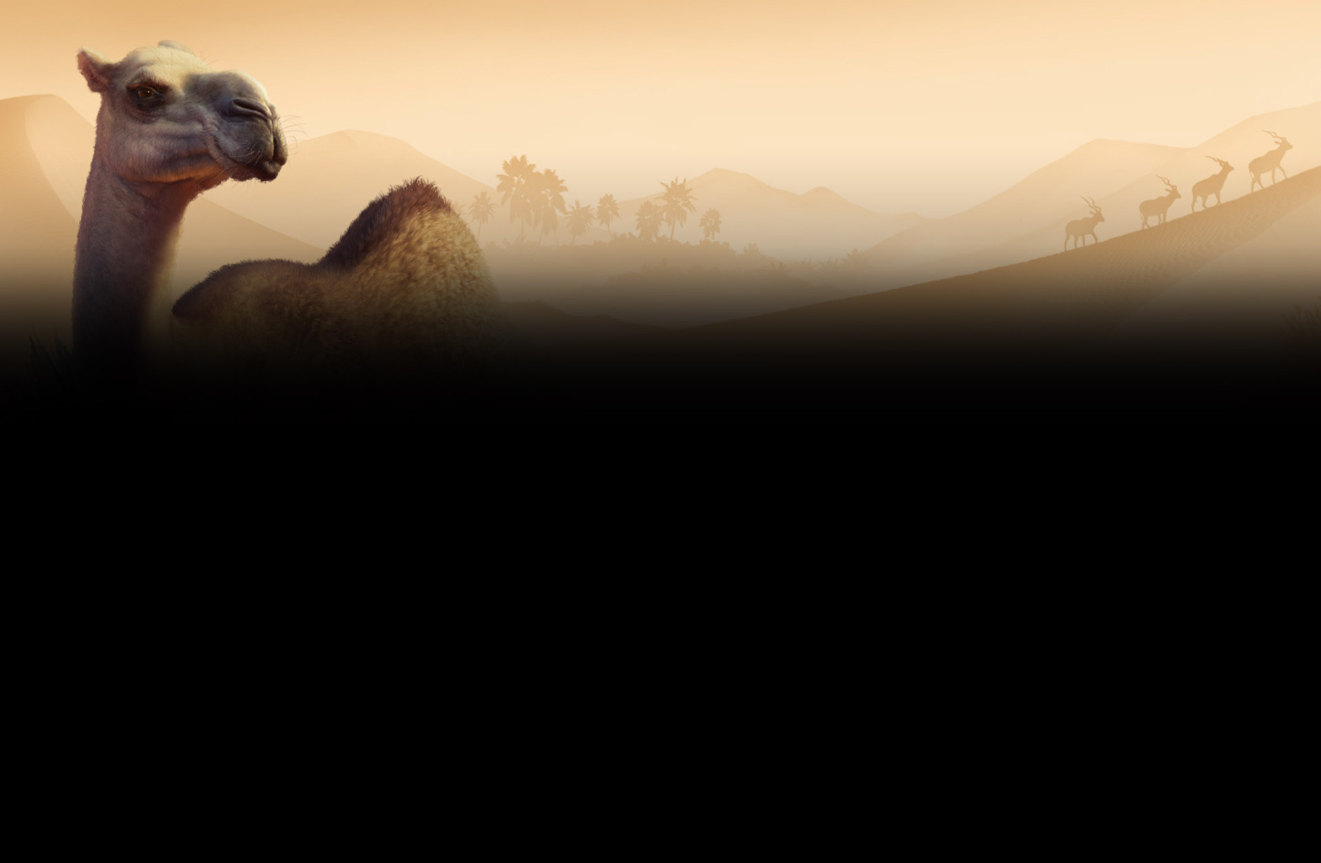 Planet Zoo: The Arid Animal Pack (DLC)