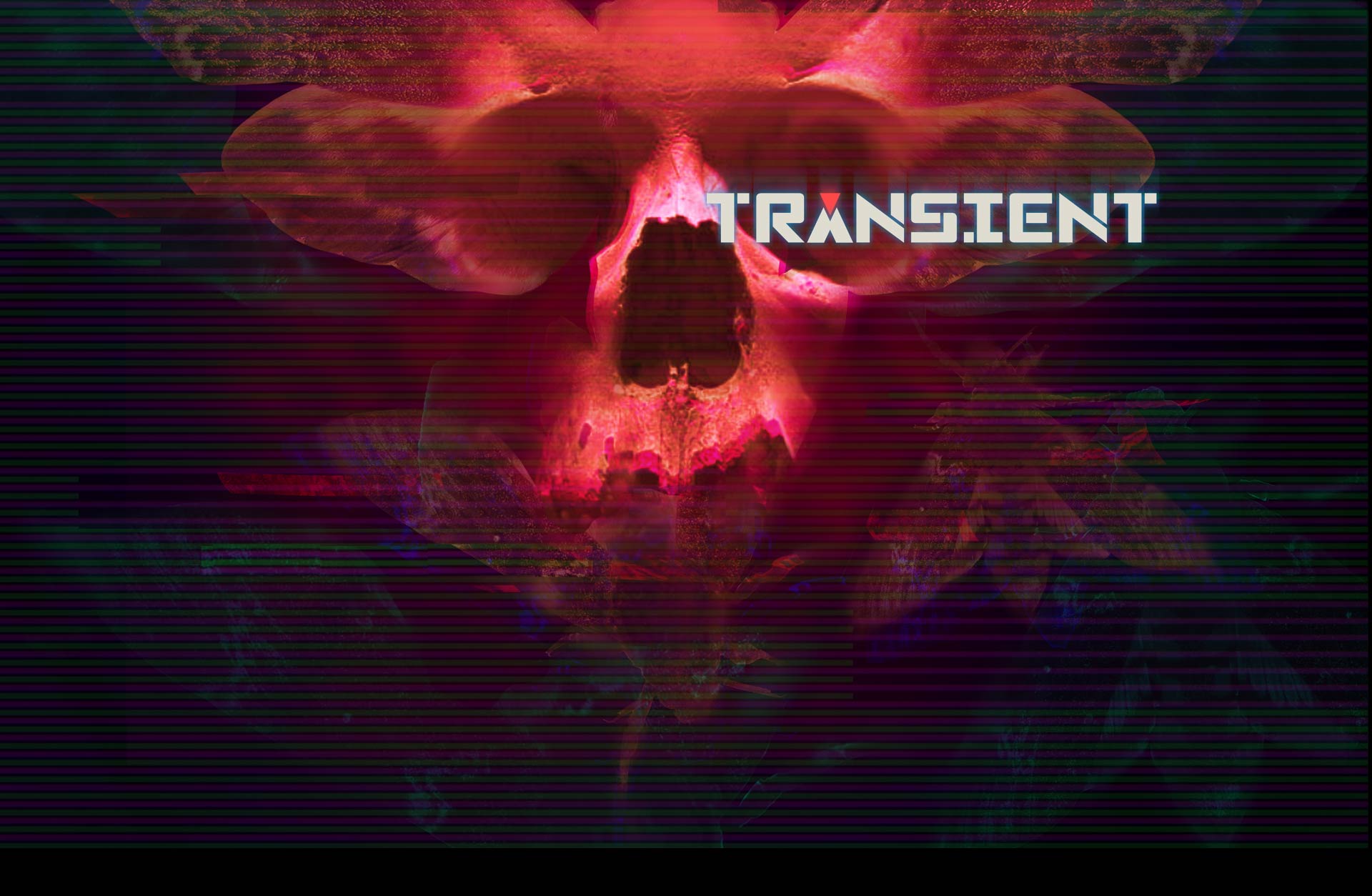 Transient