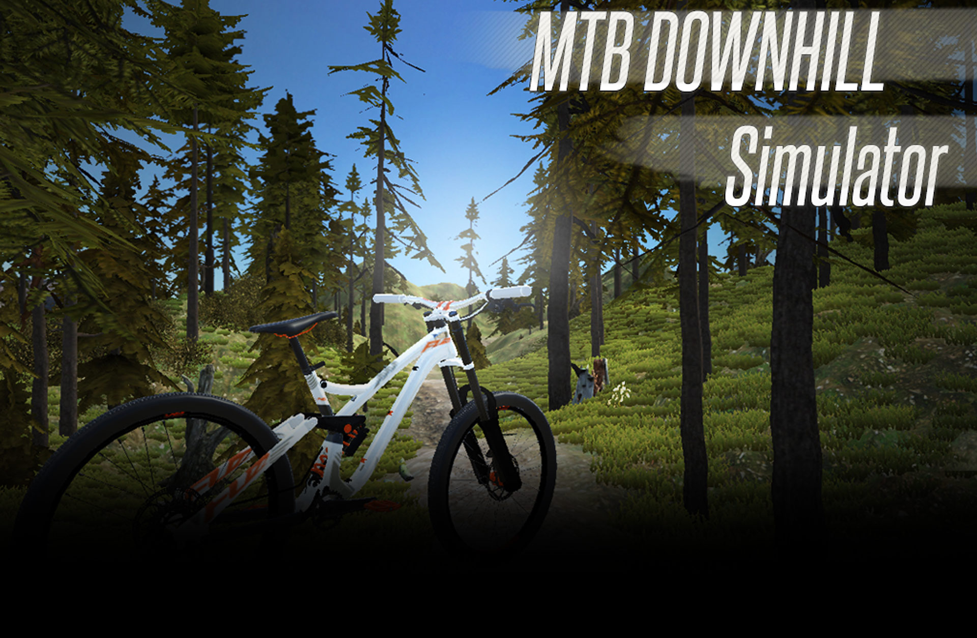 MTB Downhill Simulator