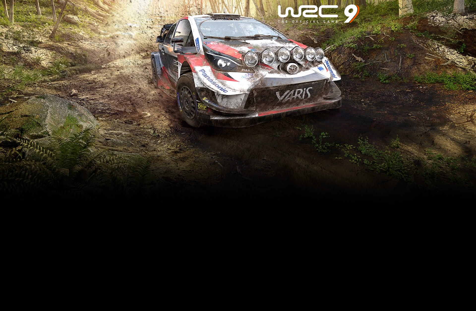 WRC 9 FIA World Rally Championship (Epic Games)
