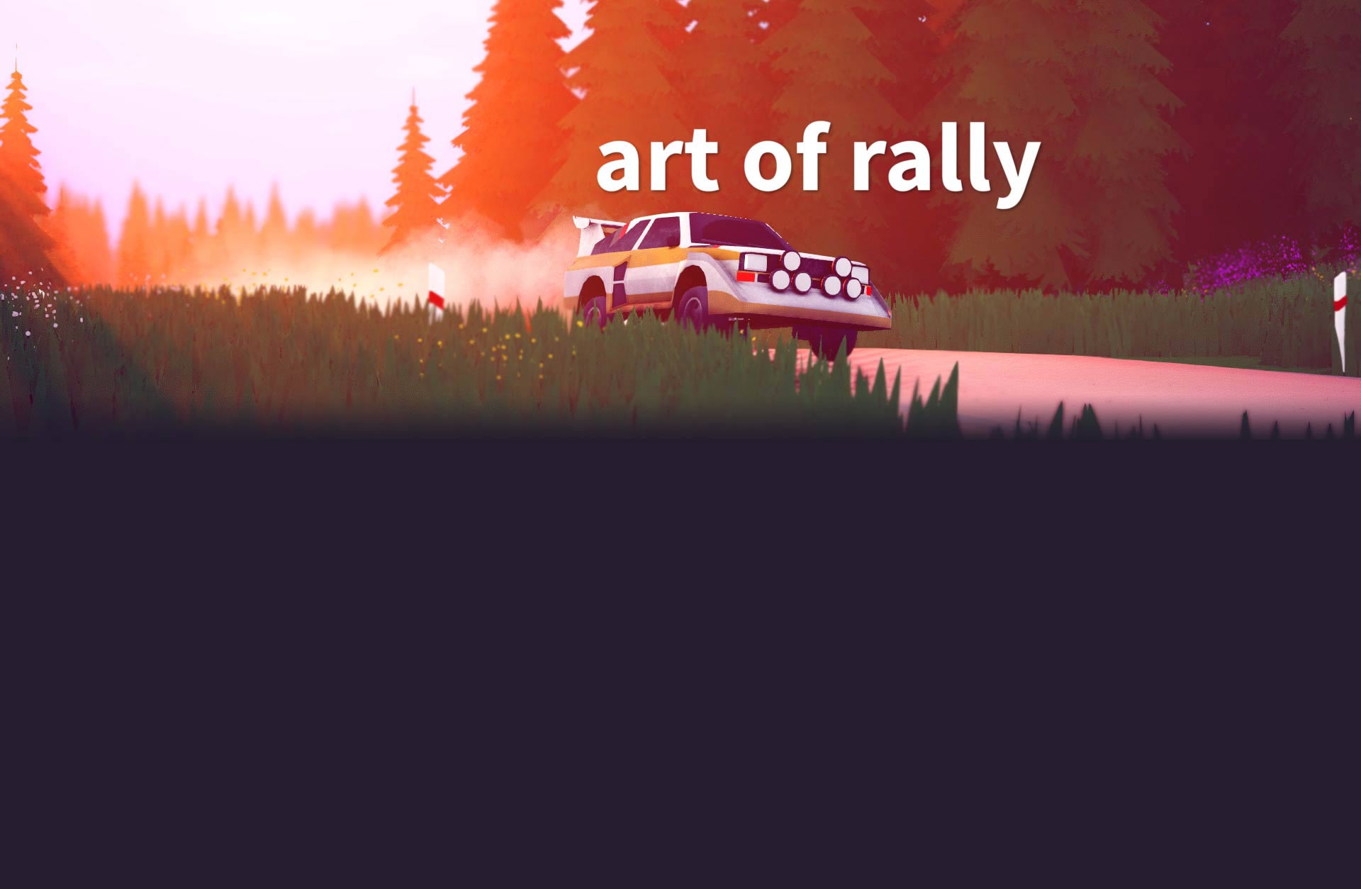 art of rally