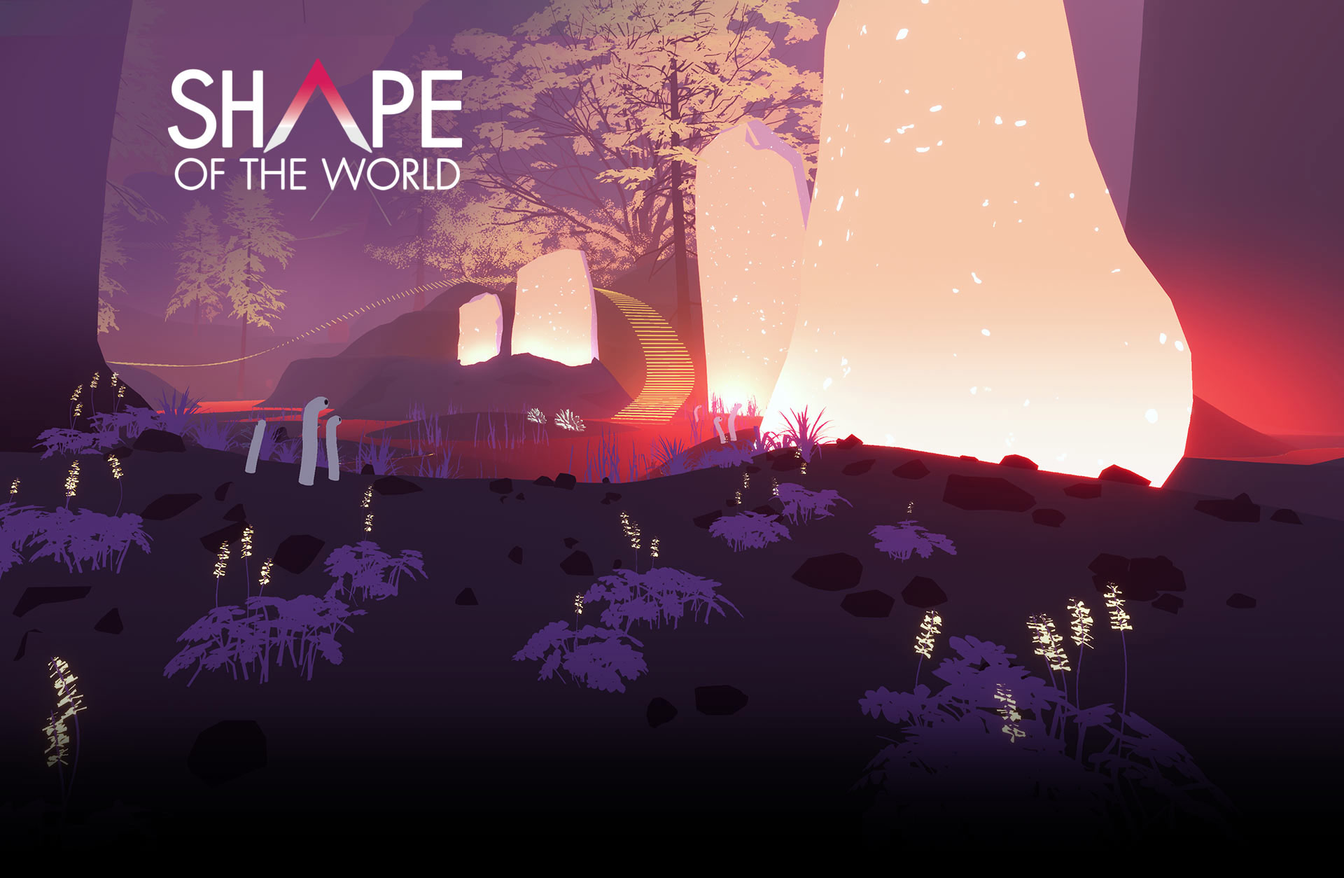 Shape of the World