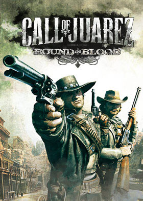 
    Call of Juarez: Bound In Blood
