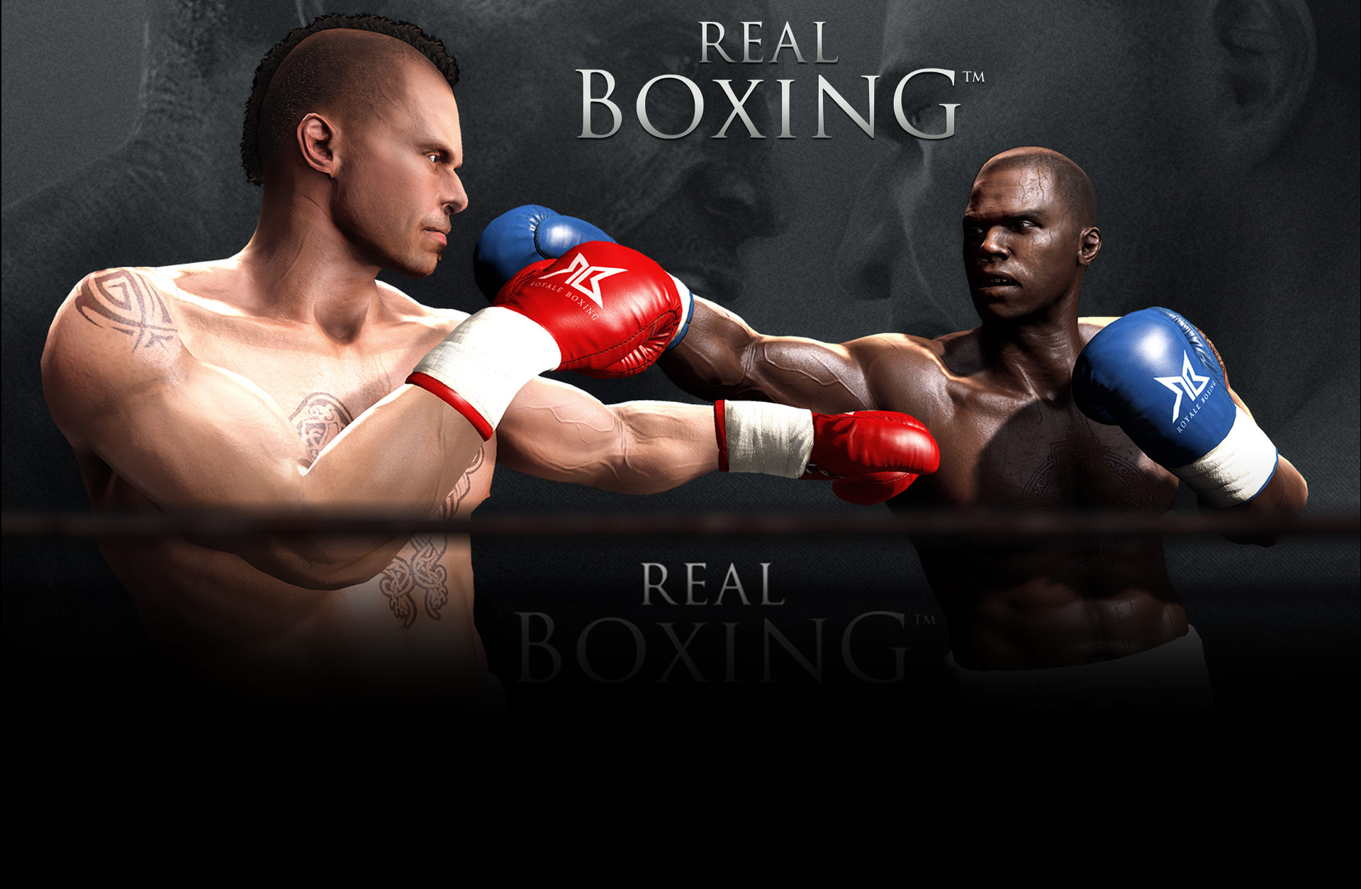 Real Boxing