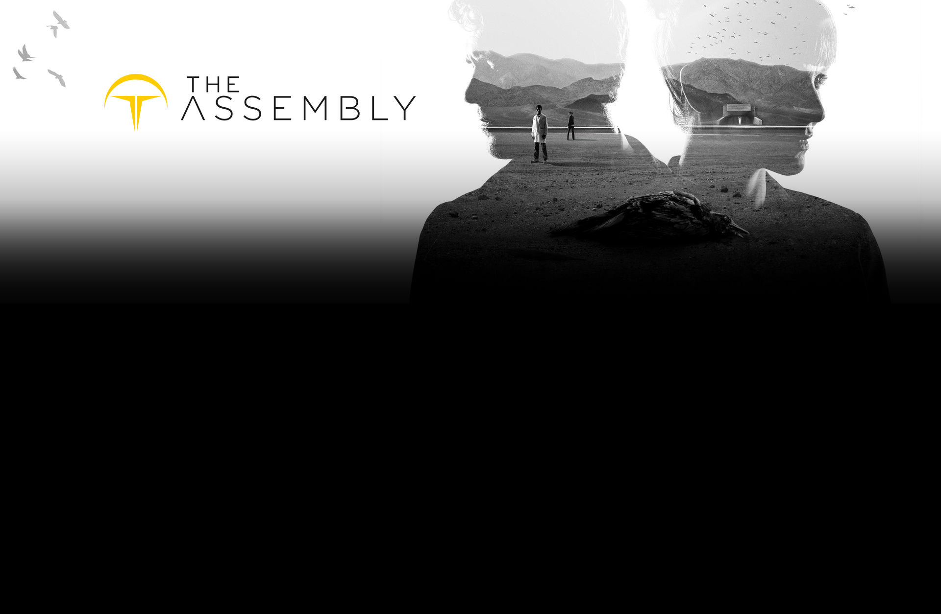 The Assembly