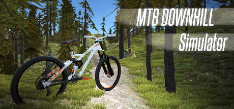 MTB Downhill Simulator